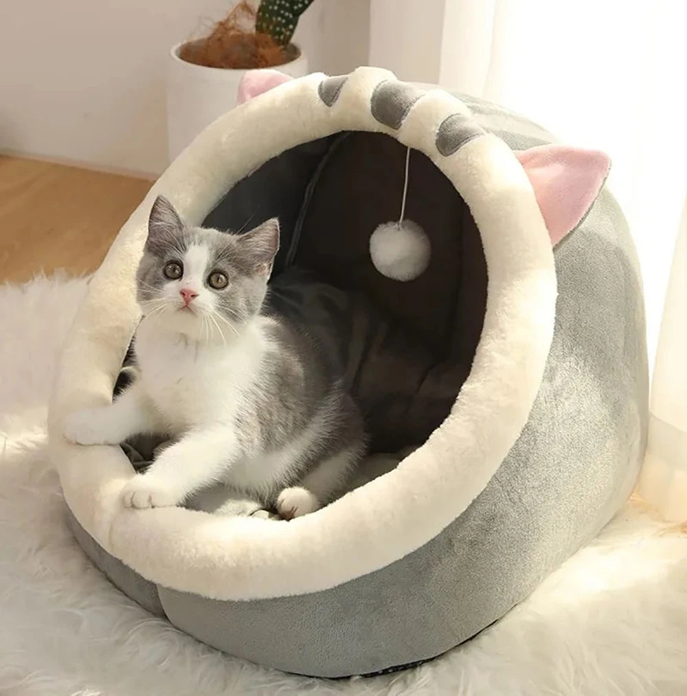 affordable-cat-dog-bed-comfortable-toy-ball